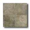American Olean American Olean Porte Leona 18 X 18 Verde Tile  &  Stone