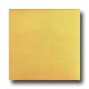 Tilecrest Tilecrest Bellisima 6 X 6 Golden Dune Tile  &  Stone