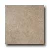 Iris Ceramica Iris Ceramica Earthstone 18 X 18 Brownstone Tile  &  Stone