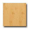 Teragren Teragren Craftsman Horizontal Natural Bamboo Flooring