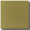 Daltile Daltile Glass Reflections 3 X 6 Olive Oil Tile  &  Stone