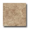 Leonardo Ceramica Leonardo Ceramica Rapolano 12 X 12 Noce Tile  &  Stone