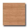 Earth Werks Earth Werks Montana Plank Gmp9914 Vinyl Flooring