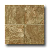 Tarkett Tarkett Preference Plus Nt - Bridge Stone 12 Rusty Stone Vinyl F