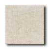 American Olean American Olean Sandy Ridge 18 X 18 Taupe Tile  &  Stone