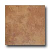 Tesoro Tesoro Volcano 13 X13 Cotto Tile  &  Stone