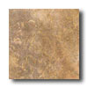 Ascot Ascot Nature 13 X 13 Brown Tile  &  Stone