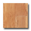 Mannington Mannington Adura Plank - Spalted Georgian Maple Natural Vinyl Fl