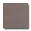 Armstrong Armstrong Mode - Stone 16 X 16 Dakota Sandstone Mocha Vinyl Floo
