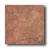 Ricchetti Ricchetti Vitruvious 16 X 16 Cubicula Tile  &  Stone