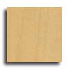 Robbins Robbins Canadian Birch Strip 2  Natural Hardwood Flooring