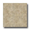 Armstrong Armstrong Dalles 20 X 20 Gold Tile  &  Stone