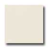 Daltile Daltile Matte 4 X 4 Biscuit Tile  &  Stone