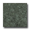 Earth Werks Earth Werks Venetian Stone 2204 Vinyl Flooring