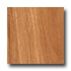 Nafco Nafco Dorchester Plank Spice Vinyl Flooring