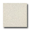 Armstrong Armstrong Medintech Tandem Inlaid Ixia Vinyl Flooring