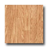 Tarkett Tarkett Preference Plus Nt - Oaken 12 Vanilla Vinyl Flooring