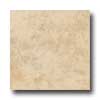 Daltile Daltile Brixton 18 X 18 Mushroom Tile  &  Stone