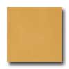 Marazzi Marazzi Le Cromie Matt Natural 12 X 12 Zolfo Tile  &  Stone