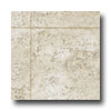 Tarkett Tarkett Preference Plus Nt - Alexandria 12 Irish Creme Vinyl Flo