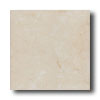 New World New World Joseph 17 X 17 White Tile  &  Stone