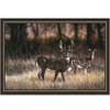 Milliken Milliken Eddie Leroy Collection 3 X 4 Deer Area Rugs
