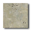 Ricchetti Ricchetti Vitruvious 16 X 16 Hortus Tile  &  Stone