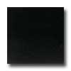 American Olean American Olean Stone Source 12 X 12 Absolute Black Tile  &  Stone
