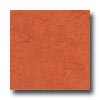 Forbo Forbo Marmoleum Click Plank African Desert Vinyl Flooring
