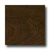 Pergo Pergo World Traveler 3.5 Tuscan Oak Laminate Flooring
