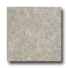 Earth Werks Earth Werks Venetian Stone 2203 Vinyl Flooring