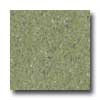 Mannington Mannington Brushwork Cinnabar Green Vinyl Flooring