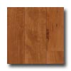 Zickgraf Zickgraf The Franklin Collection 3 1 / 4 American Cherry Natural H