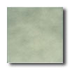 American Olean American Olean Integra 12 X 12 Woodland Haze Tile  &  Stone