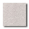 American Olean American Olean Terra Granite 12 X 12 Speckled Linen Tile  &  Stone