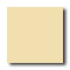 Daltile Daltile Festiva 4 1 / 4 X 4 1 / 4 Chiffon Tile  &  Stone