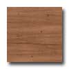 Earth Werks Earth Werks Montana Plank Gmp9916 Vinyl Flooring