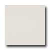 Marazzi Marazzi Le Cromie Matt Natural 12 X 12 Alabastro Tile  &  Stone