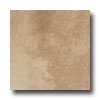 Emser Tile Emser Tile Lago 20 X 20 Natura Tile  &  Stone
