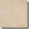 Interceramic Interceramic Sonora 16 X 16 Marfil Tile  &  Stone