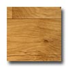 Domco Domco Eloquence - Mountain Plank 70011 Vinyl Flooring