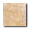 Ascot Ascot Nature 20 X 20 Nut Tile  &  Stone