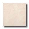 Armstrong Armstrong Marble Silk 13 X 13 Marble Silk Tile  &  Stone