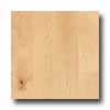Harris-Tarkett Harris-tarkett Ovations One Strip 7 Foot Canadian Maple Natural