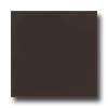 Daltile Daltile Liners Flat 1 / 2 X 6 Cityline Kohl Tile  &  Stone