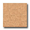 Congoleum Congoleum Xclusive - Northampton Porcelain Russet Vinyl Flooring