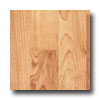 Armstrong Armstrong Timberline Medium Maple Vinyl Flooring