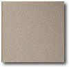 Daltile Daltile Quarry Tile Abrasive 6 X 6 Arid Flash Tile  &  Stone