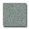 Mannington Mannington Biospec Silver Pine Vinyl Flooring