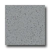 Armstrong Armstrong Excelon Stonetex Premium Granite Gray Vinyl Flooring